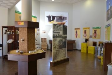 Imagen Trivial La Siberia - 27