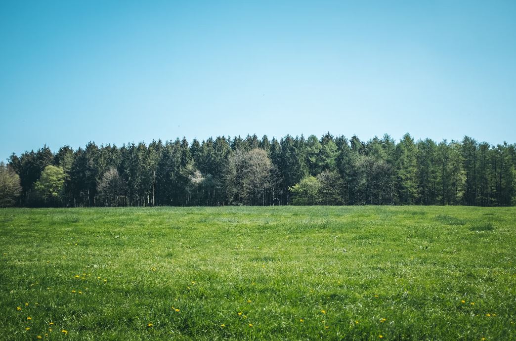 Imagen Trivial La Siberia - 33