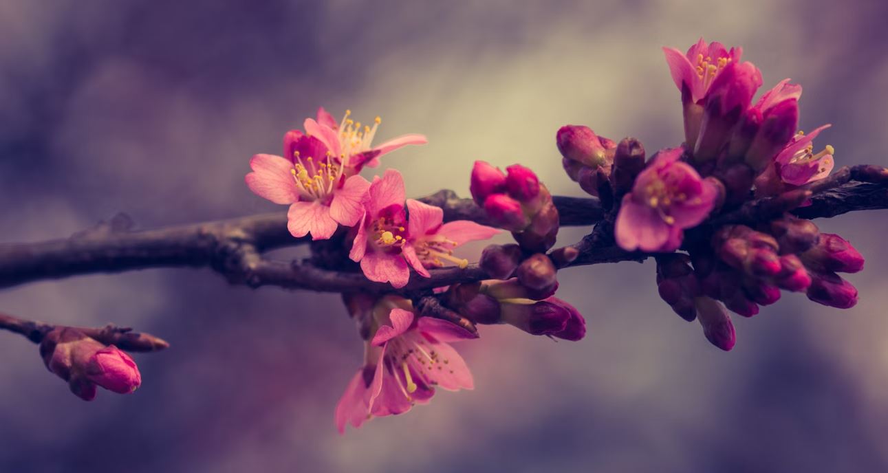 Imagen Trivial La Siberia - 47