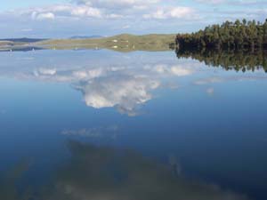 Imagen Trivial La Siberia - 79