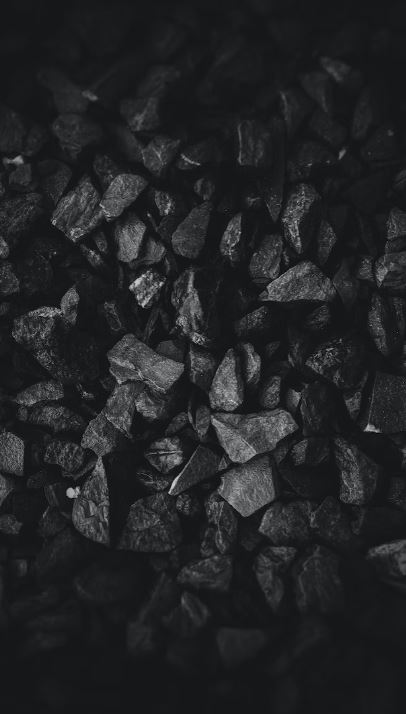 Imagen Trivial La Siberia - 80