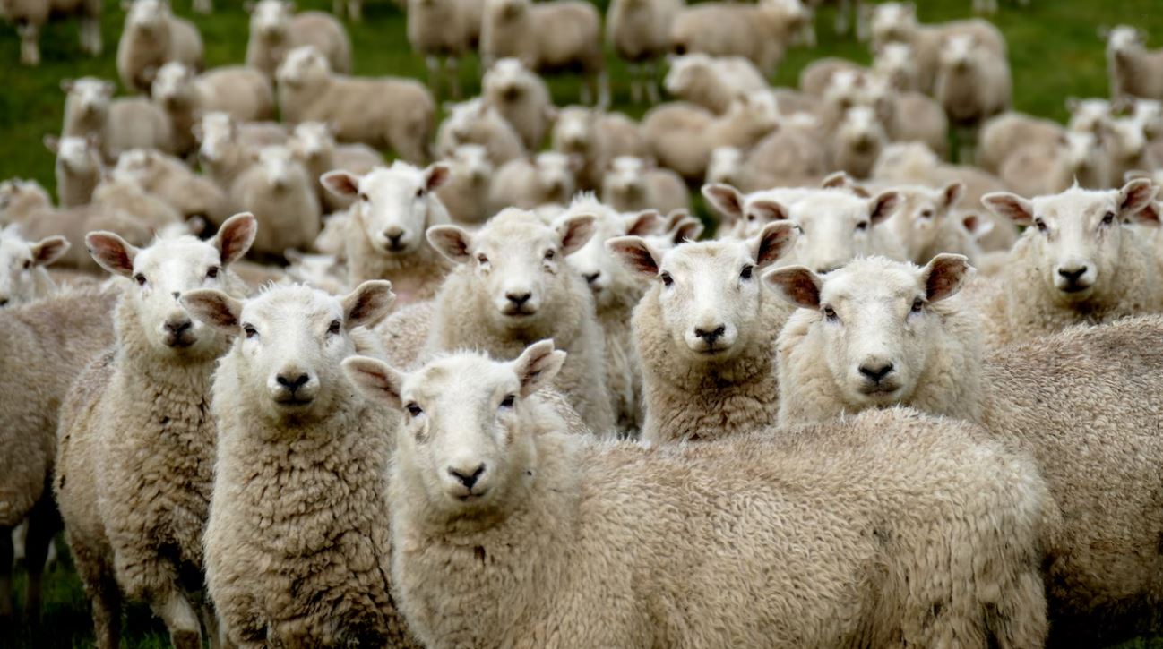 Imagen Trivial La Siberia - 94