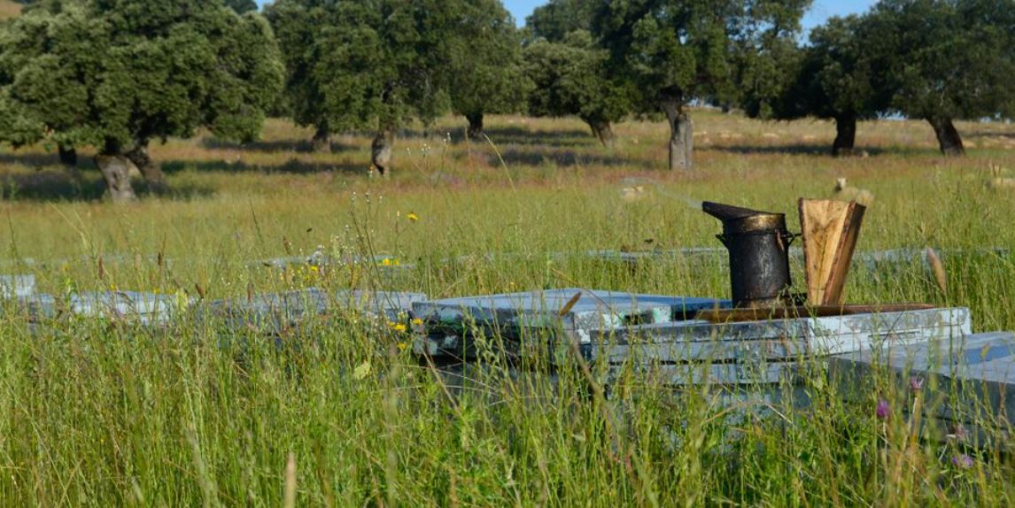 Imagen Test La Siberia - P5