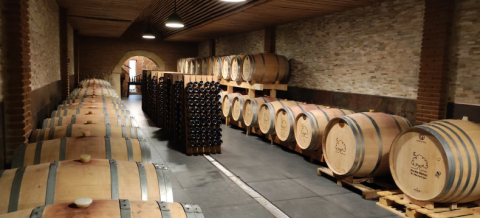 Imagen_Experiencia40