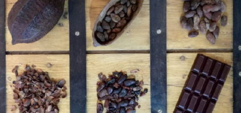 Imagen_Experiencia38