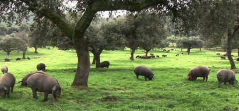 Imagen_Experiencia37