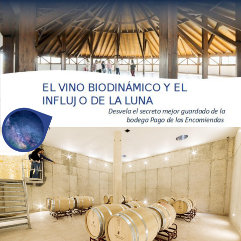 Imagen_Experiencia12