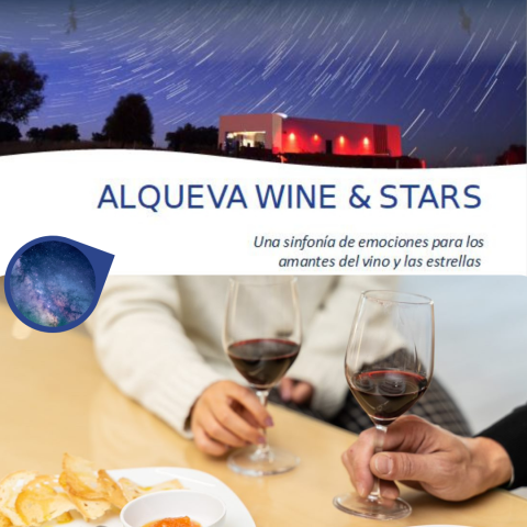 Imagen_Experiencia16