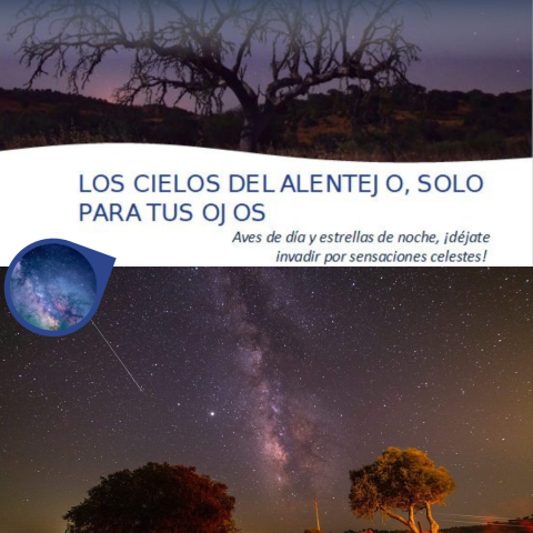 Imagen_Experiencia17