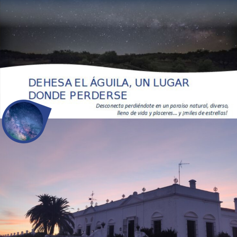 Imagen_Experiencia20