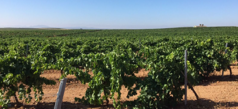 Imagen_Experiencia39