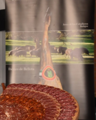 Imagen_Experiencia49